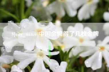仙桃中国金牌得了几枚金牌