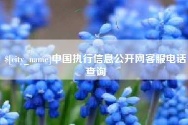 仙桃中国执行信息公开网客服电话查询