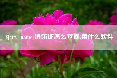 仙桃消防证怎么查询,用什么软件