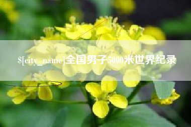 仙桃全国男子5000米世界纪录