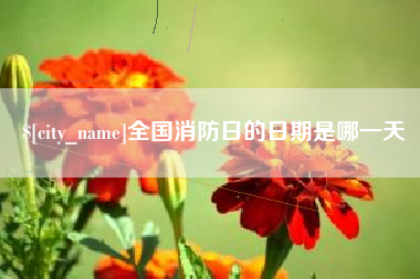 仙桃全国消防日的日期是哪一天