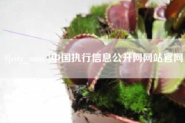 仙桃中国执行信息公开网网站官网