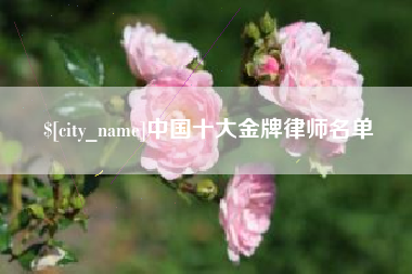 仙桃中国十大金牌律师名单
