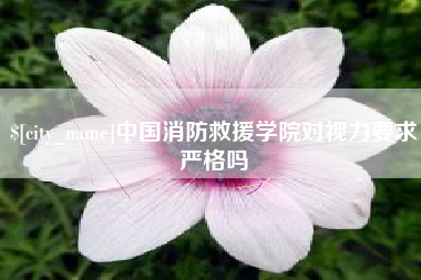 仙桃中国消防救援学院对视力要求严格吗