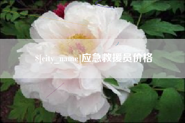 仙桃应急救援员价格