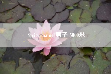 仙桃男子 5000米