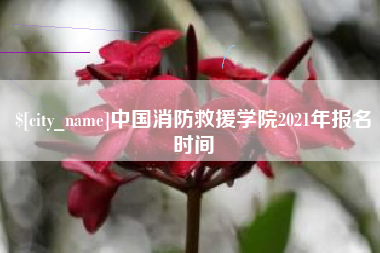 仙桃中国消防救援学院2021年报名时间