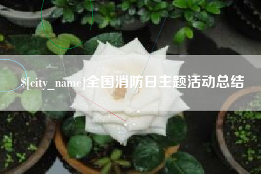 仙桃全国消防日主题活动总结