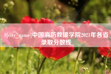 仙桃中国消防救援学院2021年各省录取分数线