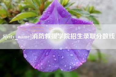 仙桃消防救援学院招生录取分数线