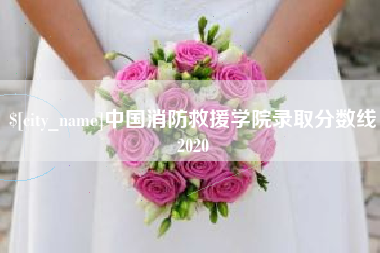 仙桃中国消防救援学院录取分数线2020