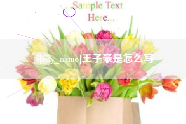 仙桃王子豪是怎么写