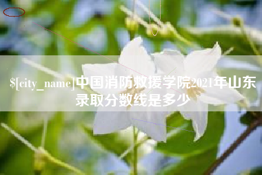 仙桃中国消防救援学院2021年山东录取分数线是多少