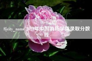 仙桃2021年中国消防学院录取分数线
