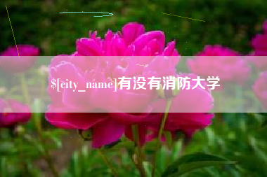 仙桃有没有消防大学