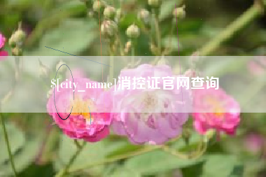 仙桃消控证官网查询