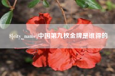 仙桃中国第九枚金牌是谁得的