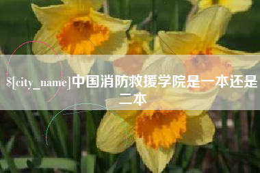 仙桃中国消防救援学院是一本还是二本