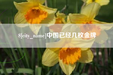 仙桃中国已经几枚金牌