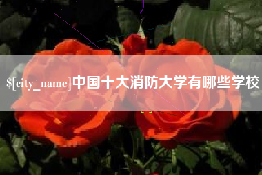 仙桃中国十大消防大学有哪些学校