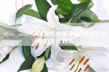 仙桃中国消防救援学院2020年在山东招生计划表