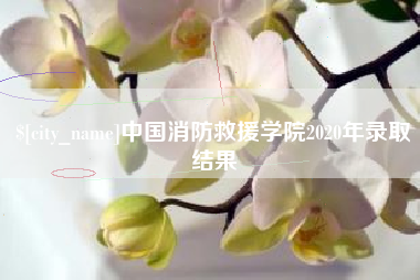 仙桃中国消防救援学院2020年录取结果