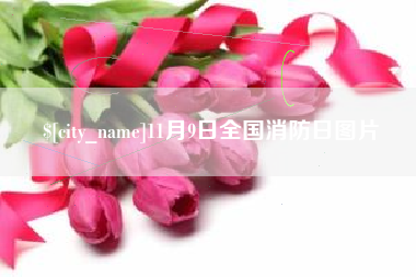 仙桃11月9日全国消防日图片