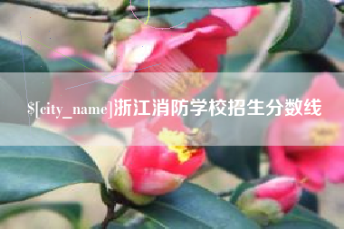 仙桃浙江消防学校招生分数线