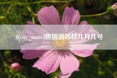 仙桃我国消防日几月几号