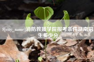 仙桃消防救援学院报考条件湖南招生多少分
