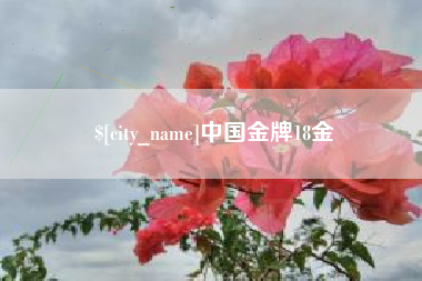 仙桃中国金牌18金