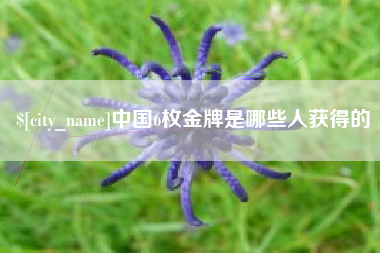 仙桃中国6枚金牌是哪些人获得的