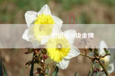 仙桃奥运会39块金牌