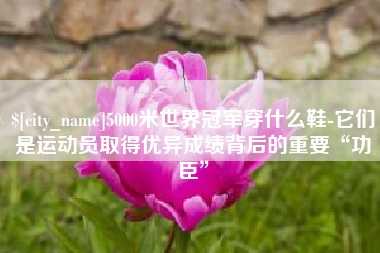 仙桃5000米世界冠军穿什么鞋-它们是运动员取得优异成绩背后的重要“功臣”