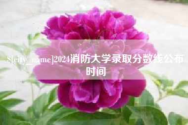 仙桃2024消防大学录取分数线公布时间