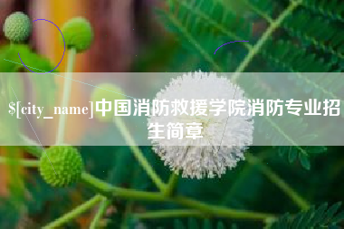 仙桃中国消防救援学院消防专业招生简章