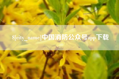 仙桃中国消防公众号app下载