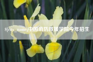 仙桃中国消防救援学院今年招生