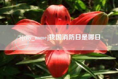 仙桃我国消防日是哪日