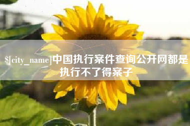 仙桃中国执行案件查询公开网都是执行不了得案子