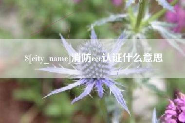 仙桃消防ccc认证什么意思