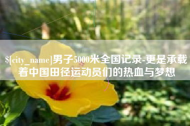 仙桃男子5000米全国记录-更是承载着中国田径运动员们的热血与梦想