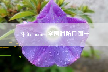 仙桃全国消防日哪一