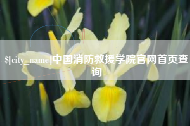 仙桃中国消防救援学院官网首页查询