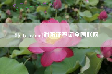 仙桃消防证查询全国联网