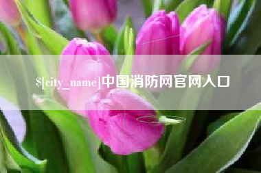仙桃中国消防网官网入口
