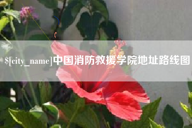 仙桃中国消防救援学院地址路线图