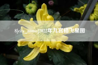 仙桃2022年九宫格飞星图