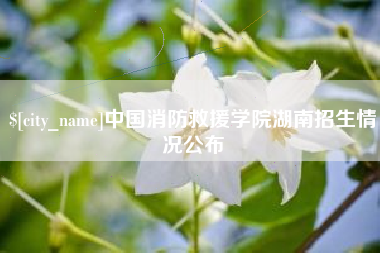 仙桃中国消防救援学院湖南招生情况公布