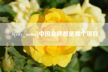 仙桃中国金牌都是哪个项目
